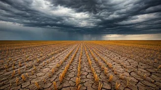 IMD Confirms 46% Rainfall Deficit Across Dry India Today