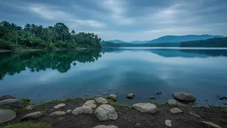 The New Chhattisgarh Pollen Study Keeps the Focus on Lake Sediments and Pollen Records