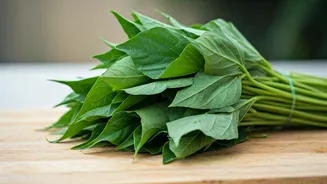 Jute Leaves: The Nutrient-Rich Green Staple of Traditional African Diets