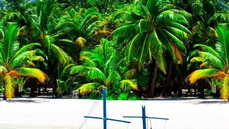 Late-2026 Holidays Begin With Choosing The Right Visa Destination