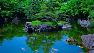 How Japan Cities Preserve Nature: Iconic City Parks You Must Visit On Travel