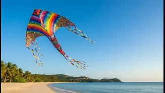 Tamil Nadu's International Kite Festival: The First Step Is To Book Stays Early And Check Coastal Weather