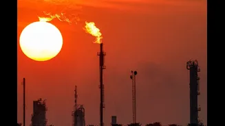 US–Venezuela Conflict: Caracas Oil Revamp May Help India Recover $1 Billion