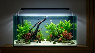 Vastu Aquarium Secrets: Unlock Prosperity, Harmony & Good Fortune at Home
