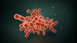 Gut-Safe Monsoon Eating Needs Practical Tips