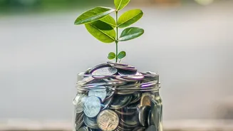 Moving investments to direct fund schemes prevents ongoing trail fee deductions from wealth