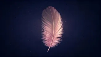 Unveiling the Spiritually Awakened Woman: Signs and Inner Knowing