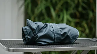 Why Delhi Dog Owners Purchase Custom Raincoats Today