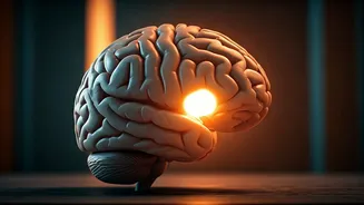 The Mid-20s Shift: Understanding the 'Frontal Lobe Breakup' Phenomenon