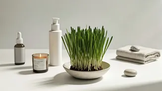 Spring Reset: Elevate Your Beauty, Home, and Wellness Routines for 2026