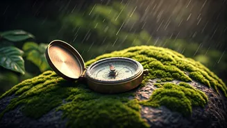 Monsoon Trips Are About Moments, Not Maps