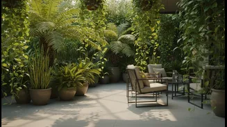 Cooling Your Terrace Naturally Is Easier With These Low-Maintenance Green Picks