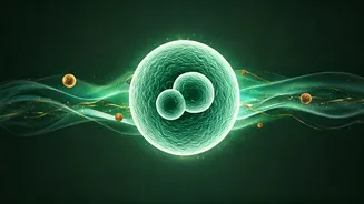 Fortify Your Future: Smart Habits in Your 30s & 40s for Lifelong Cancer Defense