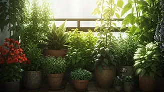 Urban India Falls In Love With Gardening