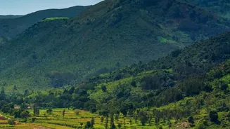 Travellers Are Choosing Assam's Green Landscapes Over Traditional Hill Stations