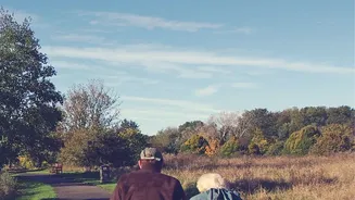 How 15-Minute Strolls Post-Meal Help Reduce Blood Sugar Spikes And Soreness