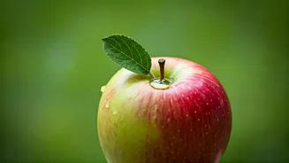 Intermittent Fasting: Beyond a Quick Fix for Weight Loss