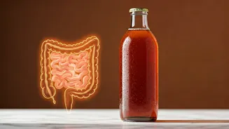 Drink Probiotic Local Kombucha Daily For An Instant Gut Reset