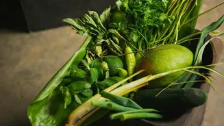 How To Care For Balcony Herbs: Fresh Basil, Mint, Lemongrass Rains