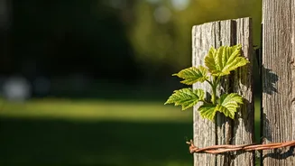 Beyond 'Good Job': Shifting Classroom Praise for Genuine Growth and Resilience