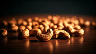 Kollam: The Global Hub That Crowned Itself The 'Cashew Capital of the World'