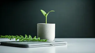 Related Stories banner