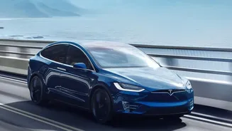 Tesla's Screen Turns Chaotic as Indian Traffic Fills Every Gap