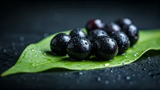 Jamun Is Monsoon's Biggest Food Star