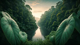 Discover Kerala's Serene Escapes: 10 Offbeat Havens for a Unique Journey