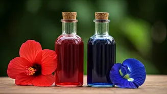 Related Stories banner