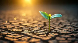 Embracing Small Victories: How Tiny Triumphs Guide Us Through Tough Times