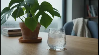 Hydration Still Matters Even When Rain Makes The Day Feel Cooler