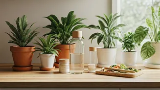 Every Home Can Go Greener