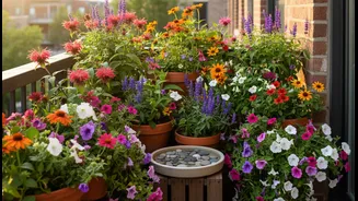 Small Balconies Can Become Pollinator Pit-Stops