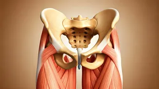 Hip Strength: Your Path to a Pain-Free Life