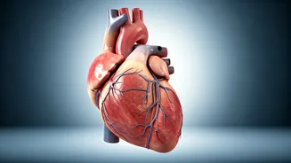 Unveiling Hidden Heart Risks: A Simple Push-Up Test