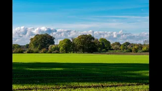 India Explores Green Urea Production for Sustainable Agriculture