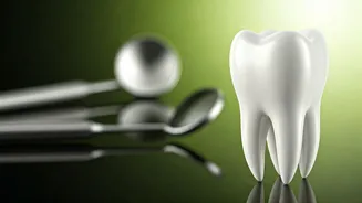 Keep Your Smile Forever: Preventing Tooth Loss in Your Golden Years