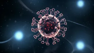 Hantavirus Alert: WHO Flags Peak Contagiousness at Symptom Onset Amid Cruise Ship Outbreak
