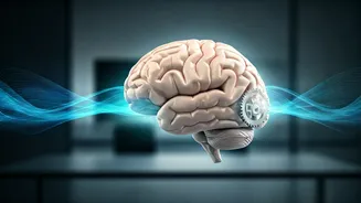 Movement And Sleep Are Becoming Career Investments