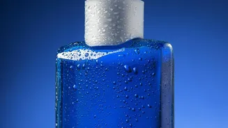 Liquid Cleaners Gaining Ground in India Gives Refill Options More Weight in the Decision