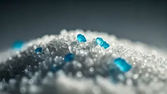 Why Daily Staples Like Salt Contain Microplastics, Study Finds
