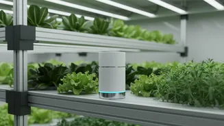 Soundwave Technology Protects Urban Crops From Pests Without Using Harsh Chemicals