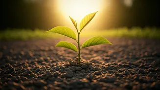 Related Stories banner