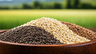 Millets Make Indian Wellness Feel Rooted And Real