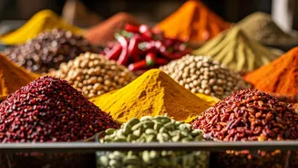 Ahmedabad's Adventures: 10 Places to Explore!