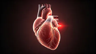 Beyond the Treadmill: Hidden Heart Risks for the Super-Fit in India