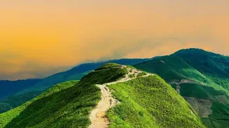 The Deo Tibba Trail Starts Near Manali but Feels Far Removed