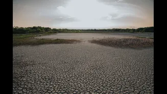 Understanding the Impact of Delayed Monsoons on Kutch's Water and Livelihoods