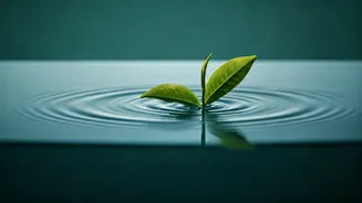 Your Next Tea Purchase Needs More Thought